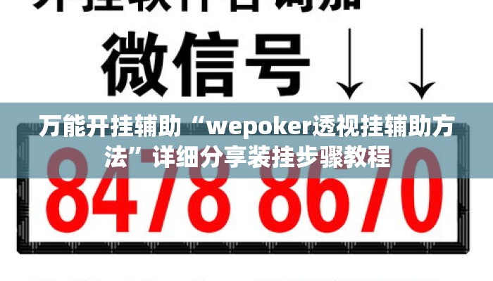 万能开挂辅助“wepoker透视挂辅助方法	”详细分享装挂步骤教程