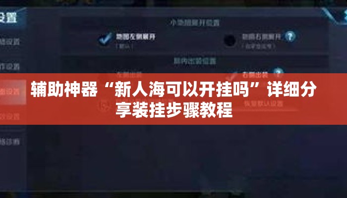 辅助神器“新人海可以开挂吗”详细分享装挂步骤教程