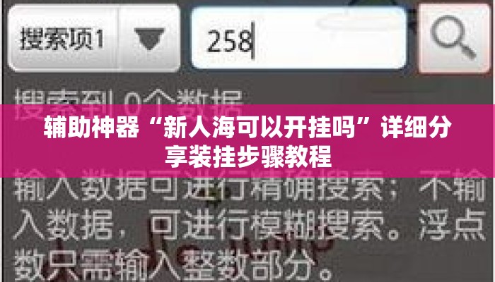 辅助神器“新人海可以开挂吗	”详细分享装挂步骤教程