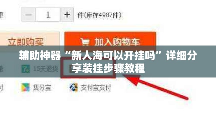辅助神器“新人海可以开挂吗”详细分享装挂步骤教程