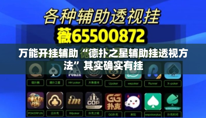 万能开挂辅助“德扑之星辅助挂透视方法”其实确实有挂