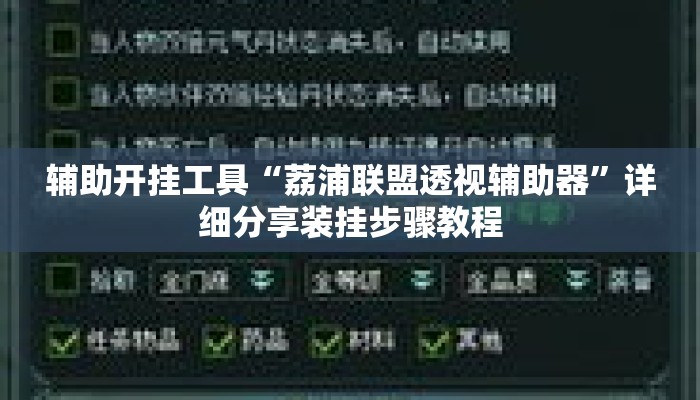 辅助开挂工具“荔浦联盟透视辅助器”详细分享装挂步骤教程