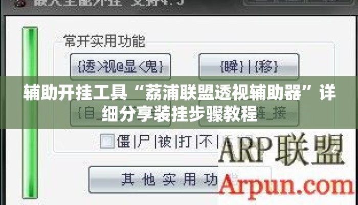 辅助开挂工具“荔浦联盟透视辅助器”详细分享装挂步骤教程