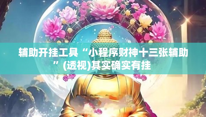 辅助开挂工具“小程序财神十三张辅助”(透视)其实确实有挂 