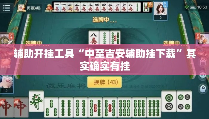辅助开挂工具“中至吉安辅助挂下载”其实确实有挂