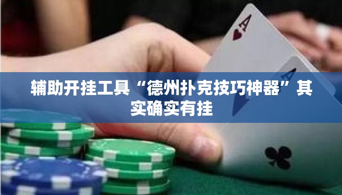 辅助开挂工具“德州扑克技巧神器”其实确实有挂