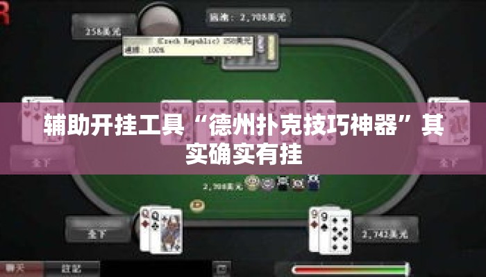 辅助开挂工具“德州扑克技巧神器”其实确实有挂