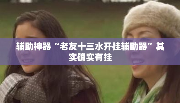 辅助神器“老友十三水开挂辅助器	”其实确实有挂