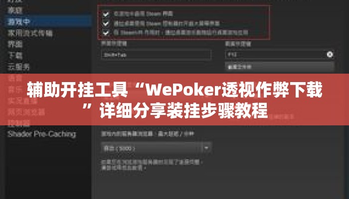 辅助开挂工具“WePoker透视作弊下载	”详细分享装挂步骤教程