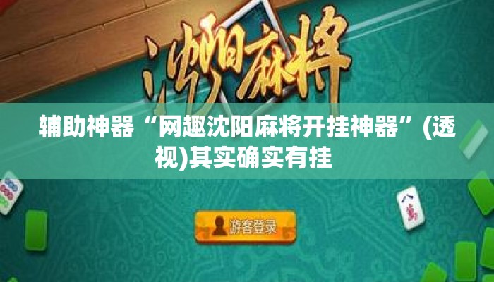 辅助神器“网趣沈阳麻将开挂神器	”(透视)其实确实有挂 