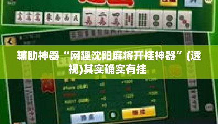 辅助神器“网趣沈阳麻将开挂神器”(透视)其实确实有挂 