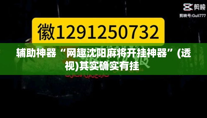 辅助神器“网趣沈阳麻将开挂神器”(透视)其实确实有挂 