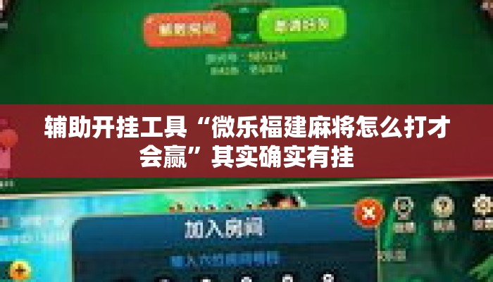 辅助开挂工具“微乐福建麻将怎么打才会赢	”其实确实有挂