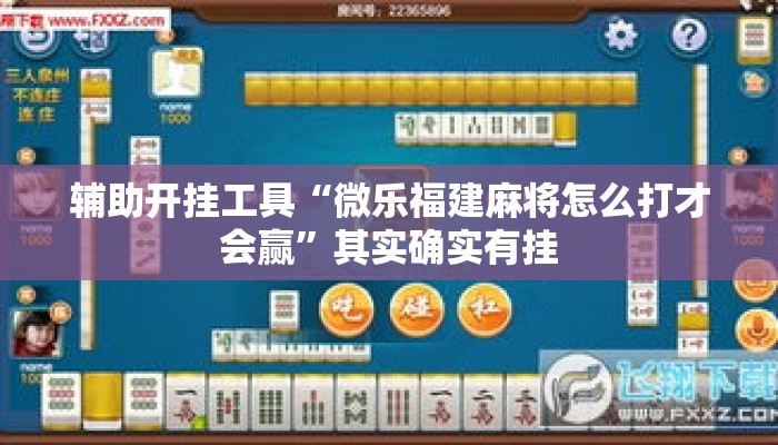 辅助开挂工具“微乐福建麻将怎么打才会赢	”其实确实有挂