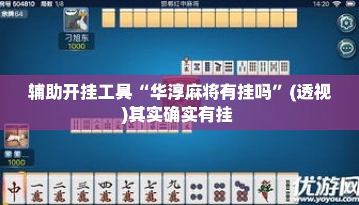 辅助开挂工具“华淳麻将有挂吗”(透视)其实确实有挂 