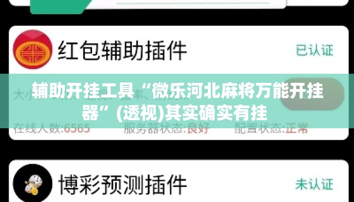 辅助开挂工具“微乐河北麻将万能开挂器	”(透视)其实确实有挂 