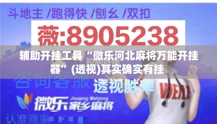 辅助开挂工具“微乐河北麻将万能开挂器	”(透视)其实确实有挂 