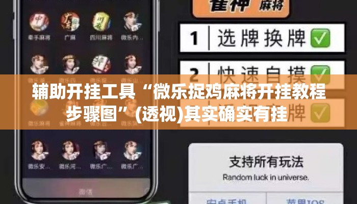 辅助开挂工具“微乐捉鸡麻将开挂教程步骤图”(透视)其实确实有挂 