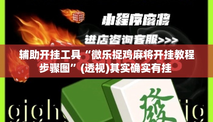 辅助开挂工具“微乐捉鸡麻将开挂教程步骤图”(透视)其实确实有挂 