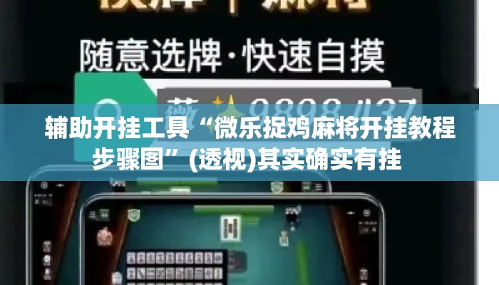 辅助开挂工具“微乐捉鸡麻将开挂教程步骤图”(透视)其实确实有挂 
