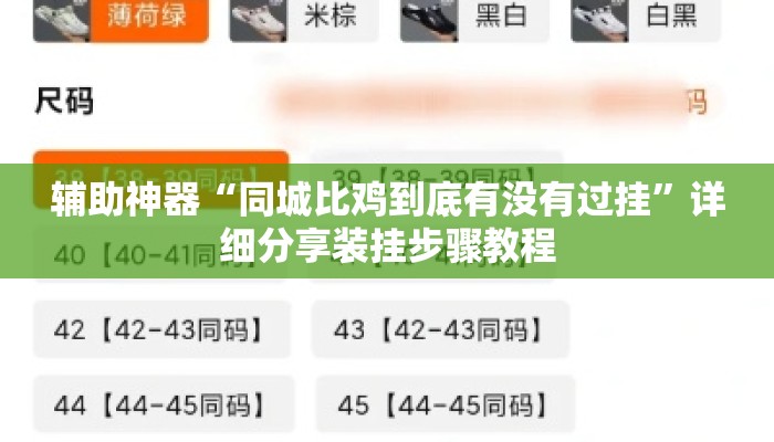 辅助神器“同城比鸡到底有没有过挂”详细分享装挂步骤教程