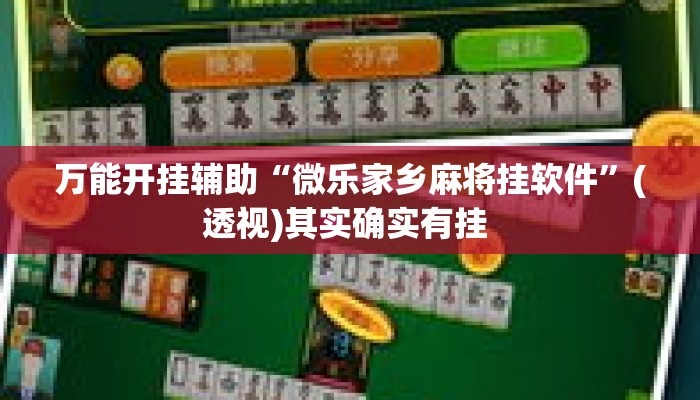 万能开挂辅助“微乐家乡麻将挂软件”(透视)其实确实有挂 
