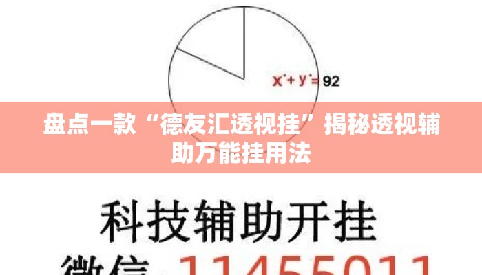 盘点一款“德友汇透视挂”揭秘透视辅助万能挂用法
