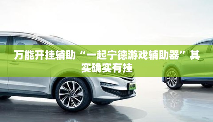 万能开挂辅助“一起宁德游戏辅助器”其实确实有挂