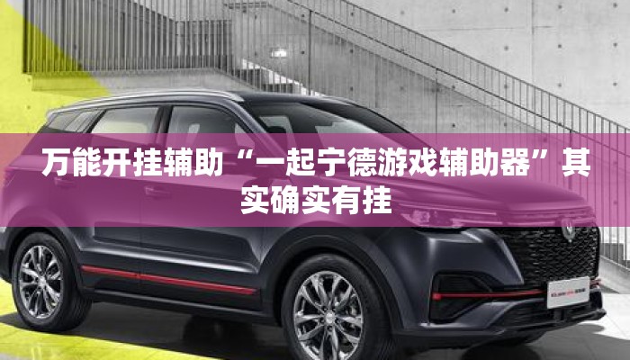 万能开挂辅助“一起宁德游戏辅助器”其实确实有挂
