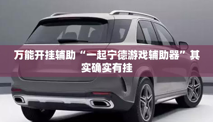 万能开挂辅助“一起宁德游戏辅助器”其实确实有挂