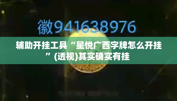 辅助开挂工具“星悦广西字牌怎么开挂”(透视)其实确实有挂 