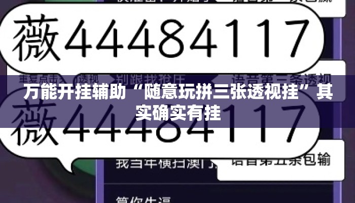 万能开挂辅助“随意玩拼三张透视挂	”其实确实有挂