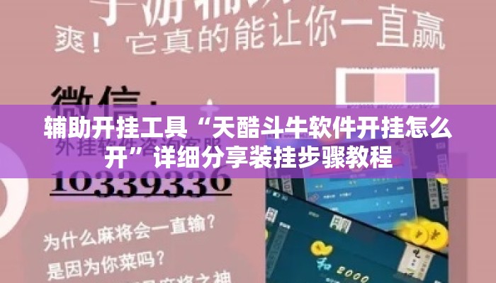 辅助开挂工具“天酷斗牛软件开挂怎么开”详细分享装挂步骤教程