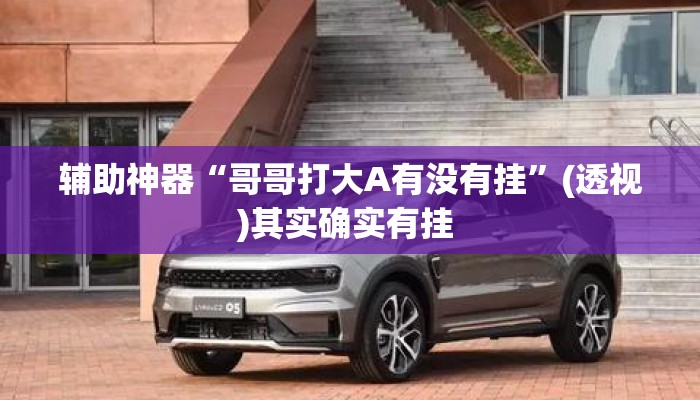 辅助神器“哥哥打大A有没有挂”(透视)其实确实有挂 