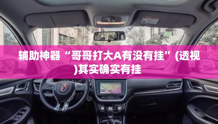 辅助神器“哥哥打大A有没有挂”(透视)其实确实有挂 