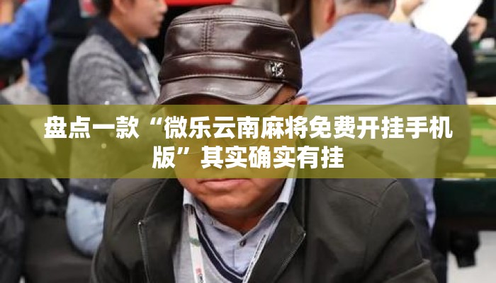 盘点一款“微乐云南麻将免费开挂手机版”其实确实有挂