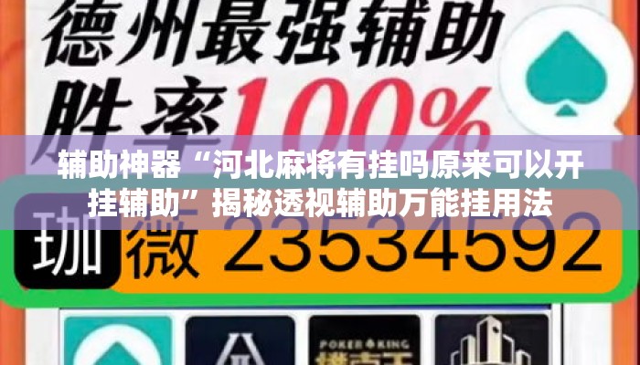 辅助神器“河北麻将有挂吗原来可以开挂辅助”揭秘透视辅助万能挂用法