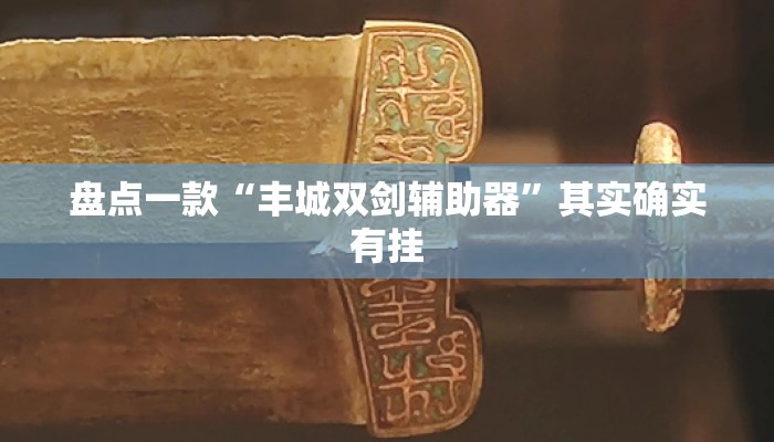 盘点一款“丰城双剑辅助器”其实确实有挂