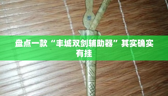 盘点一款“丰城双剑辅助器	”其实确实有挂