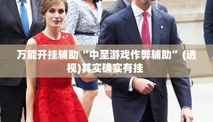万能开挂辅助“中至游戏作弊辅助	”(透视)其实确实有挂 