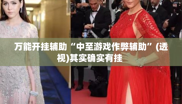 万能开挂辅助“中至游戏作弊辅助”(透视)其实确实有挂 
