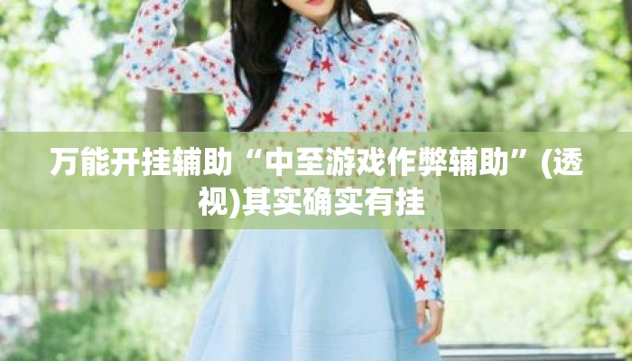 万能开挂辅助“中至游戏作弊辅助”(透视)其实确实有挂 