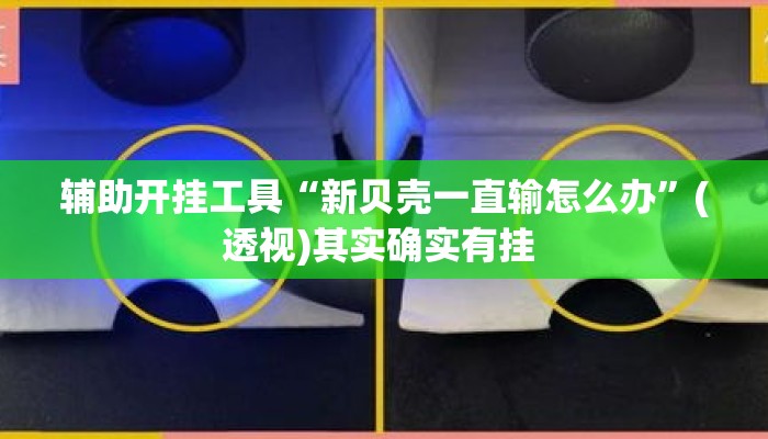 辅助开挂工具“新贝壳一直输怎么办”(透视)其实确实有挂 
