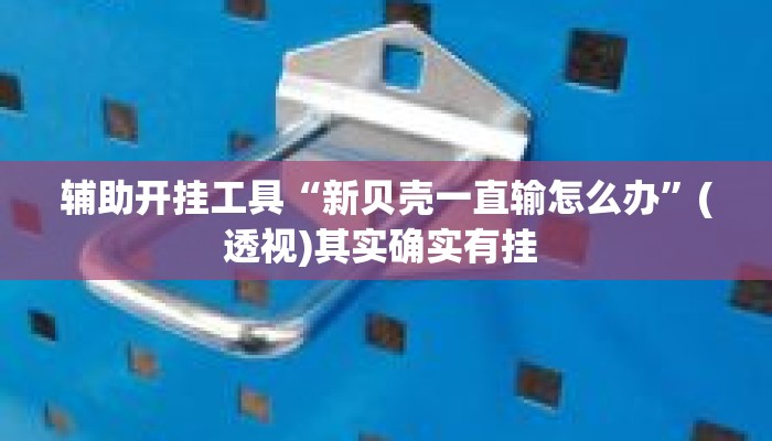 辅助开挂工具“新贝壳一直输怎么办”(透视)其实确实有挂 