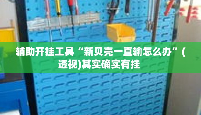 辅助开挂工具“新贝壳一直输怎么办	”(透视)其实确实有挂 