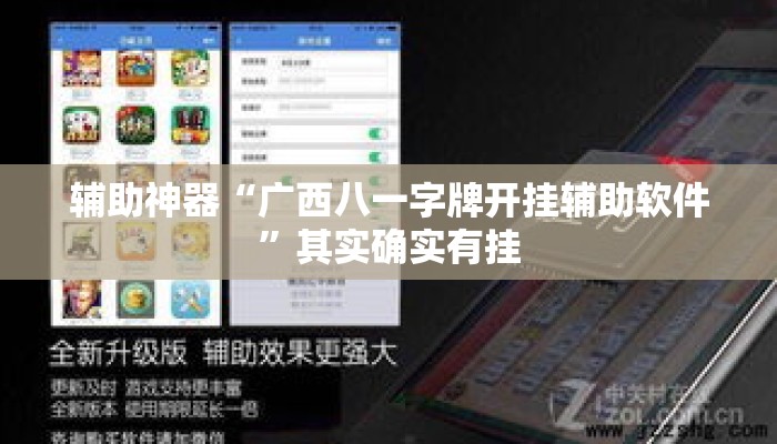辅助神器“广西八一字牌开挂辅助软件”其实确实有挂