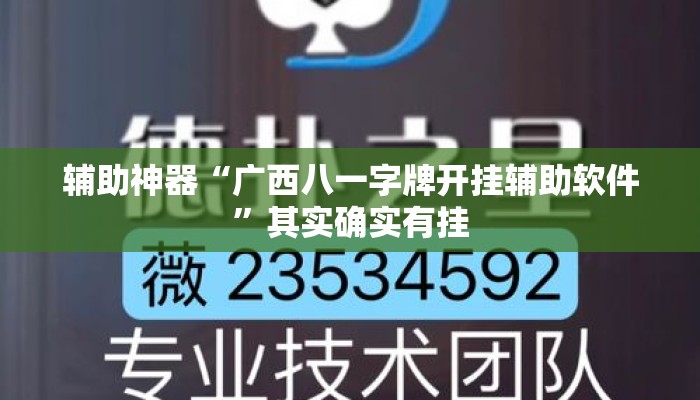 辅助神器“广西八一字牌开挂辅助软件”其实确实有挂