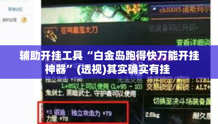 辅助开挂工具“白金岛跑得快万能开挂神器”(透视)其实确实有挂 