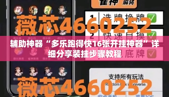 辅助神器“多乐跑得快16张开挂神器”详细分享装挂步骤教程
