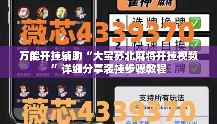 万能开挂辅助“大宝苏北麻将开挂视频”详细分享装挂步骤教程
